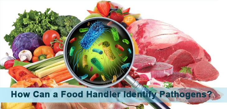 How Can a Food Handler Identify Pathogens