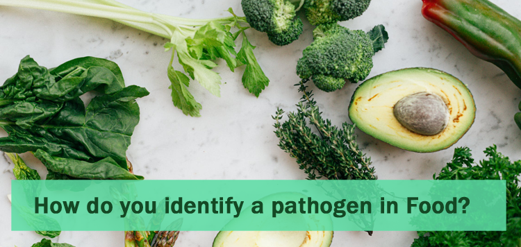 How do you identify a pathogen in Food?