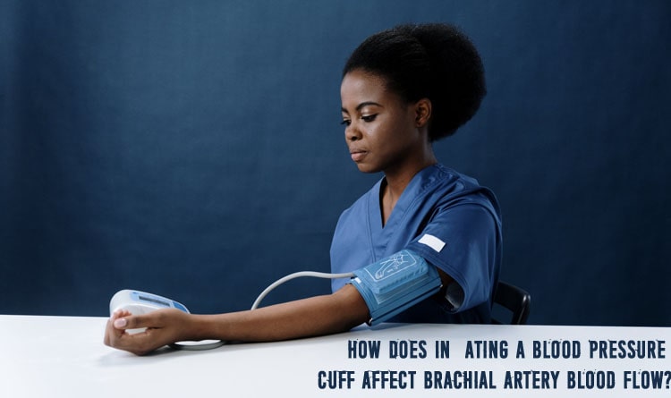 How Does Inflating a Blood Pressure Cuff Affect Brachial Artery Blood Flow