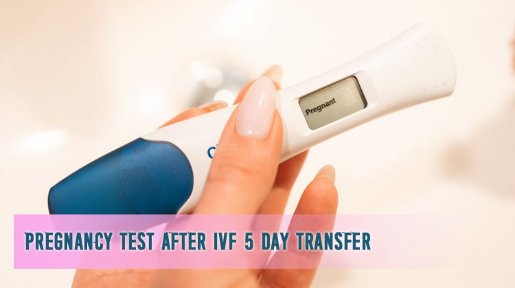 Pregnancy test after IVF 5 day transfer