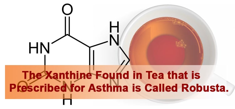 The Xanthine Found in Tea that is Prescribed for Asthma is Called Robusta.