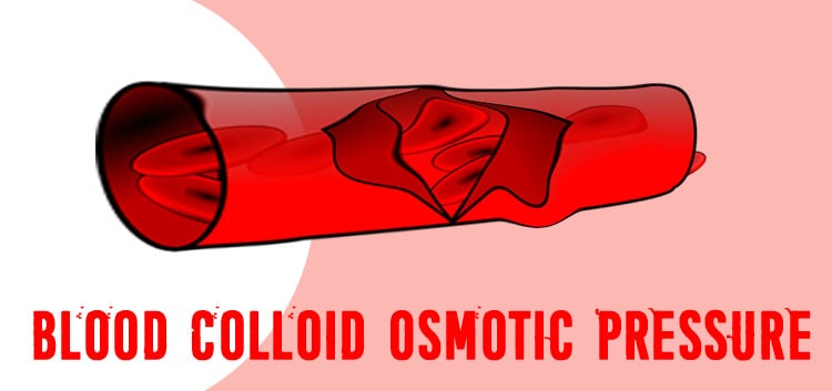 Blood Colloid Osmotic Pressure