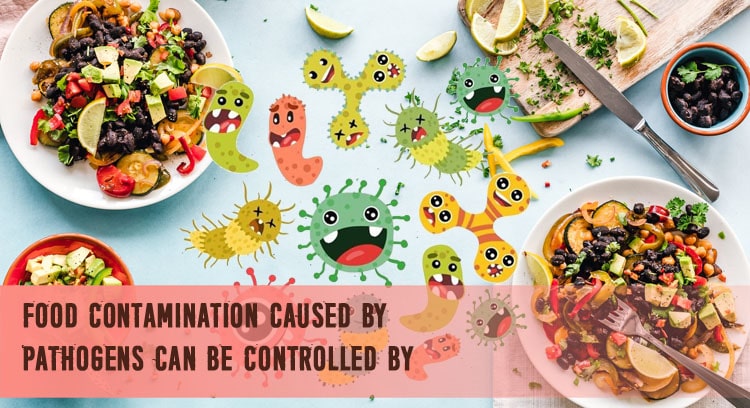 Food Contamination Caused by Pathogens can be Controlled by