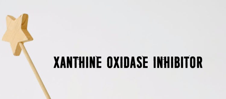 Xanthine Oxidase Inhibitor
